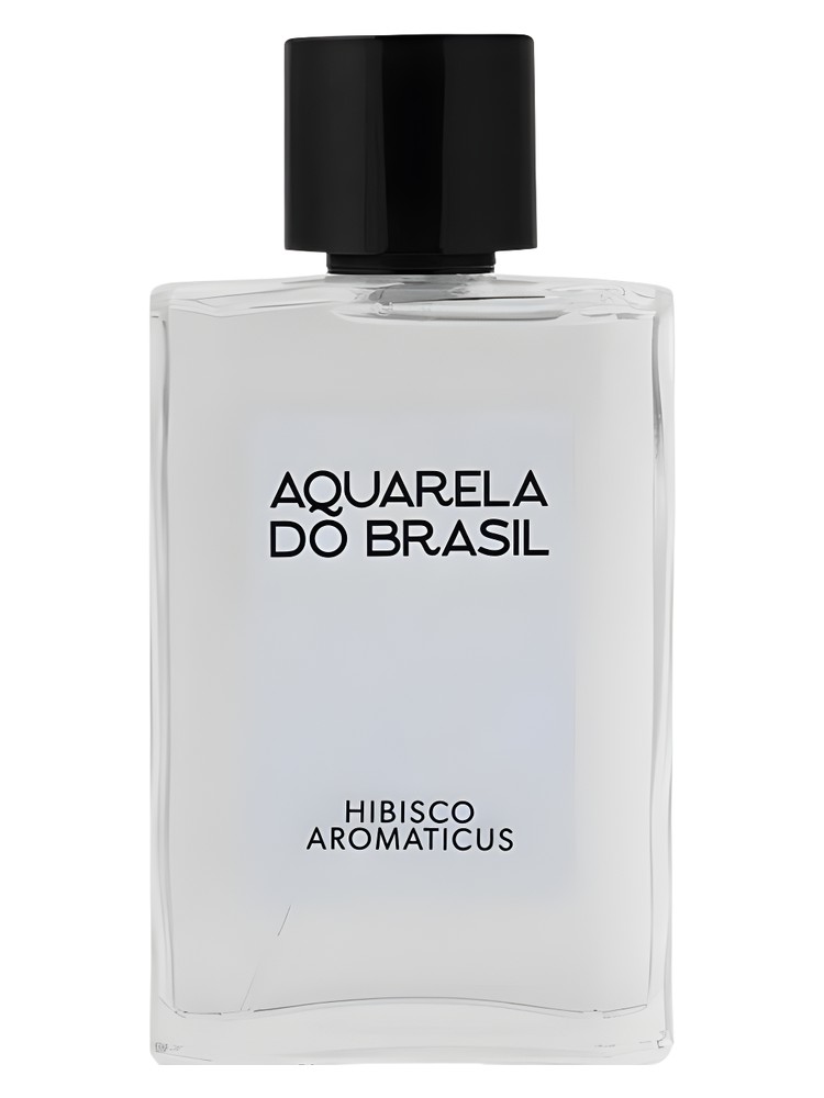 Hibisco Aromaticus