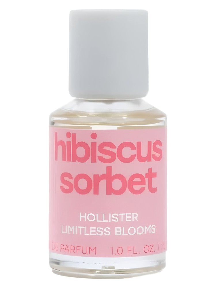 Hibiscus Sorbet