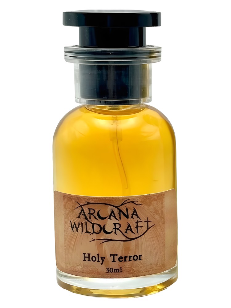 Holy Terror