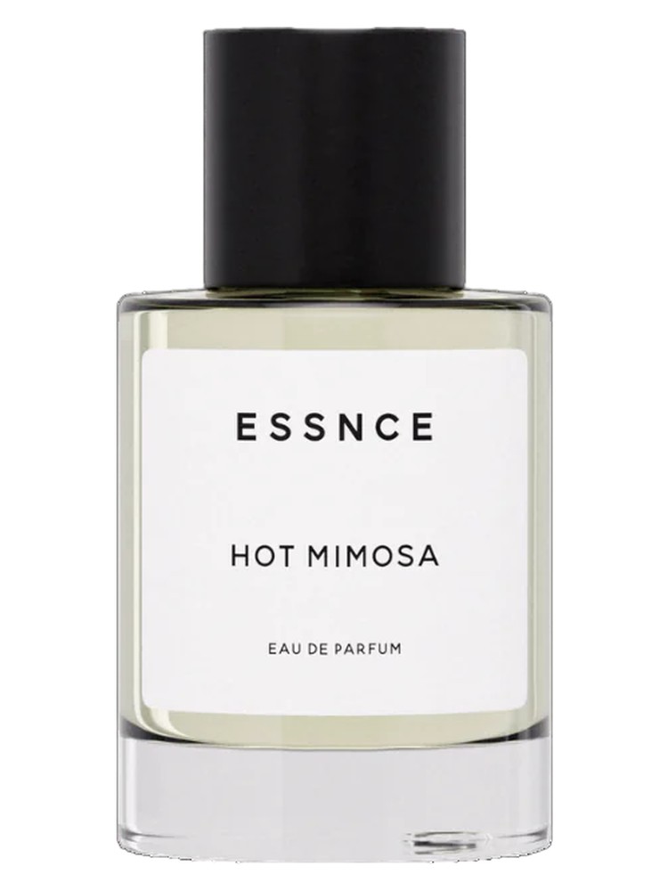 Hot Mimosa