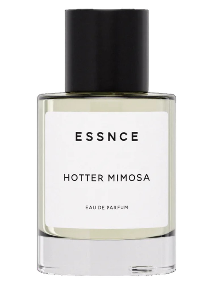 Hotter Mimosa
