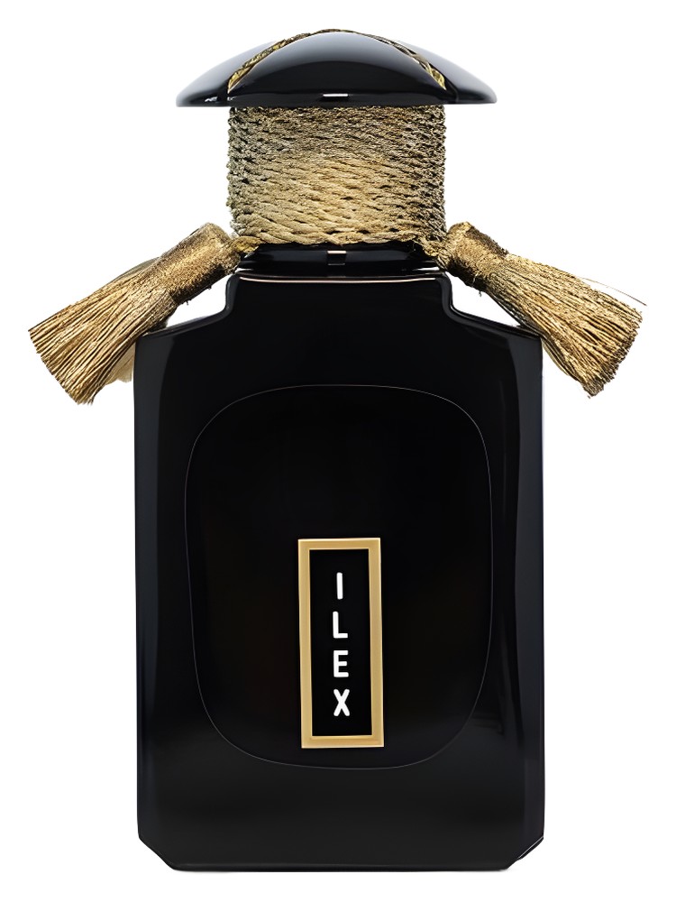 Ilex