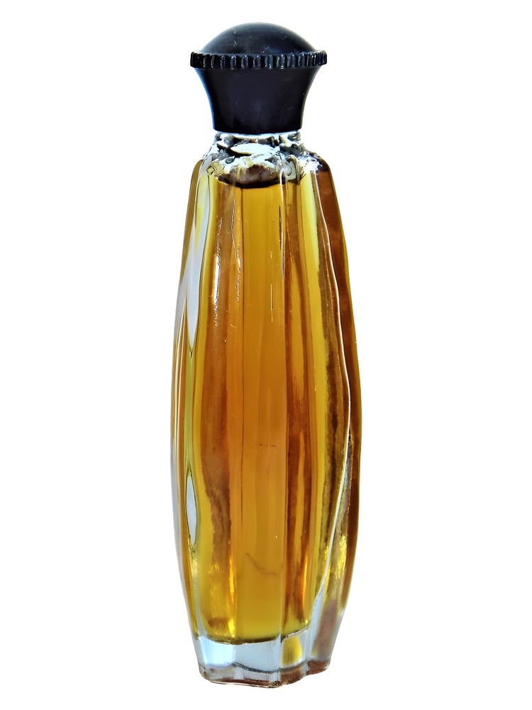 Ilgota