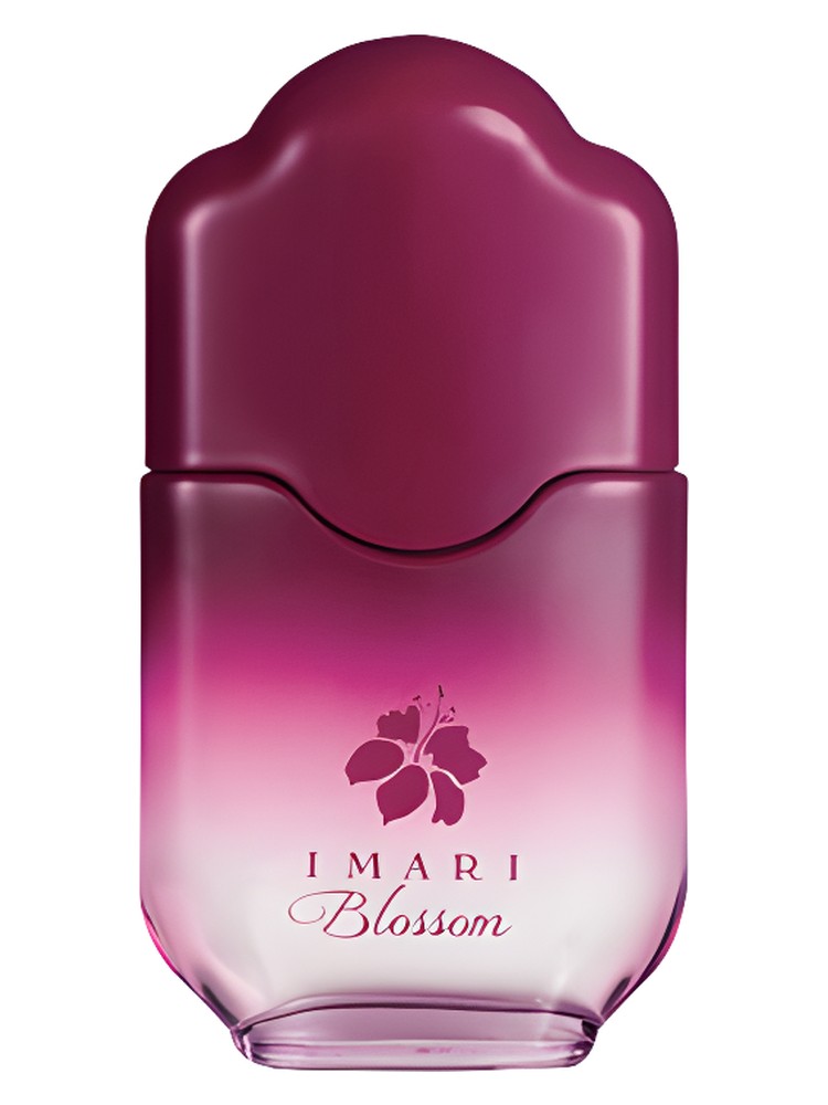 Imari Blossom