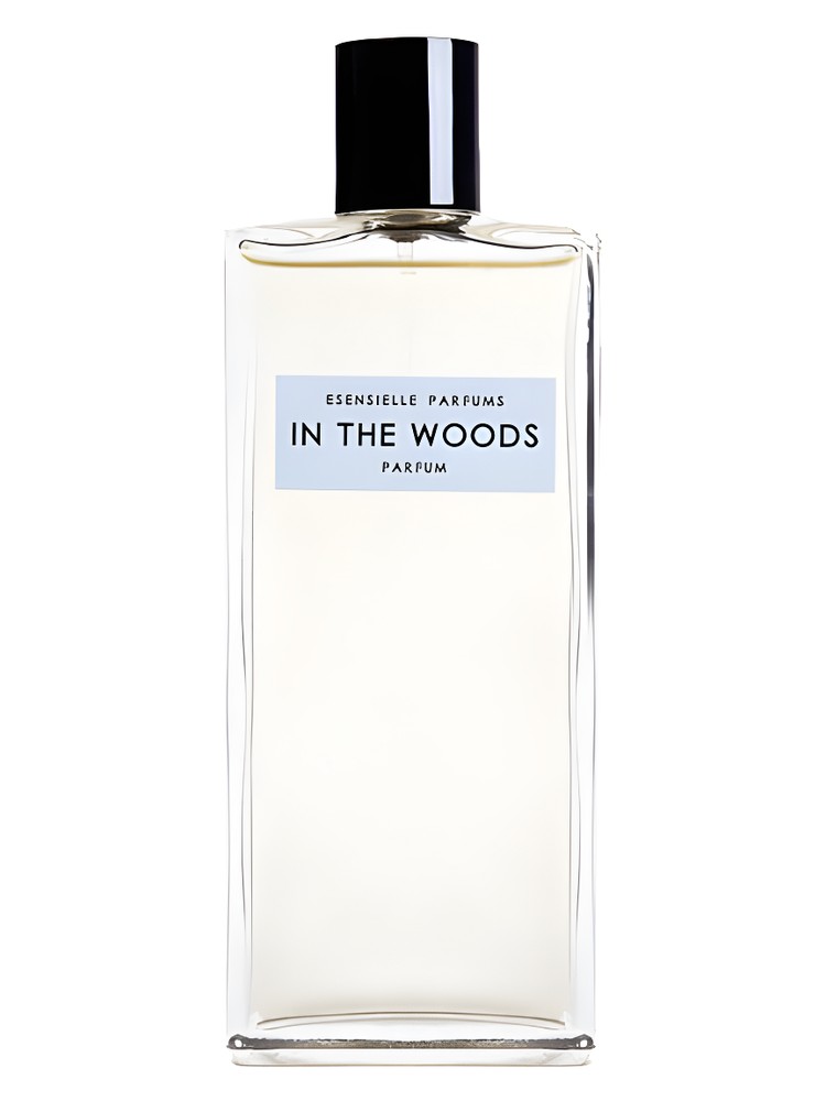 In the Woods