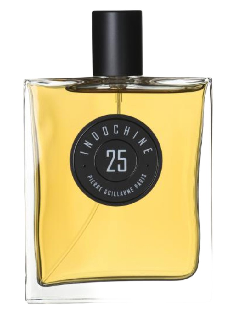 Indochine 25