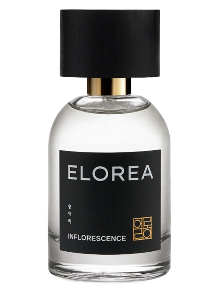 INFLORESCENCE (송아리)