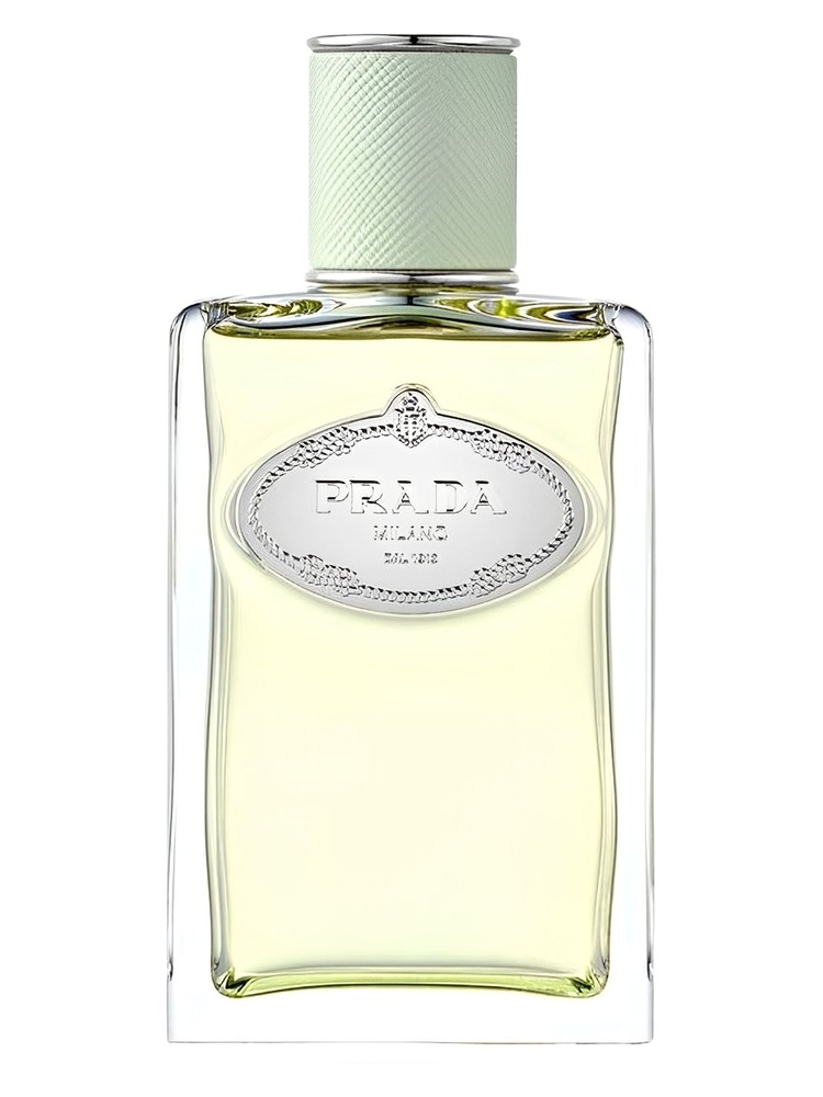 Infusion d'Iris (2015)