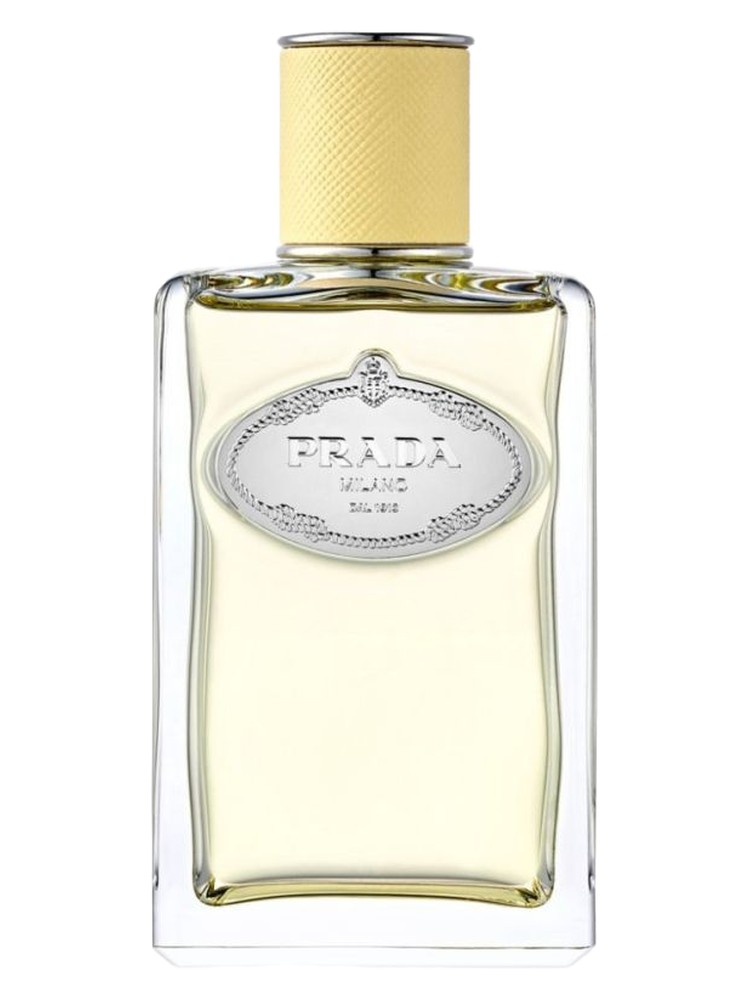 Infusion de Mimosa