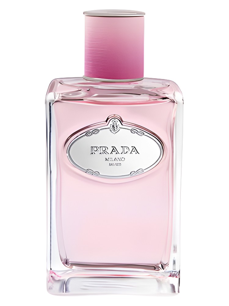 Infusion de Rose