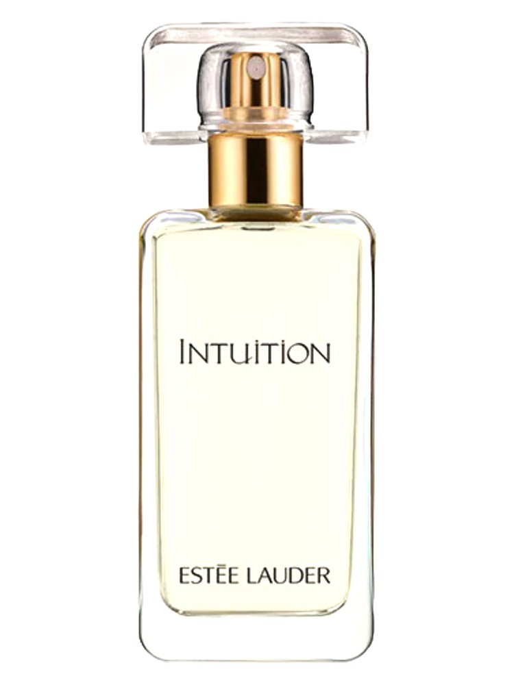 Intuition