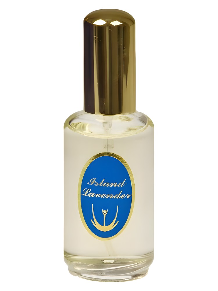 Island Lavender