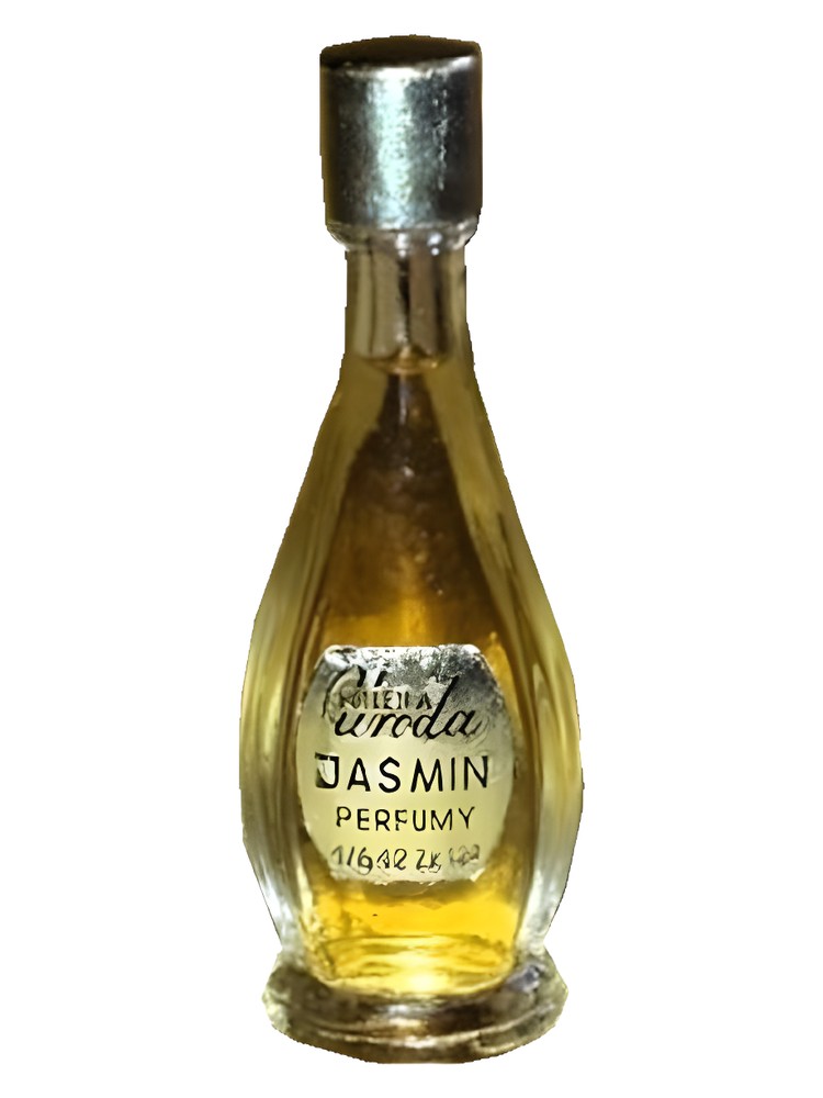 Jasmin