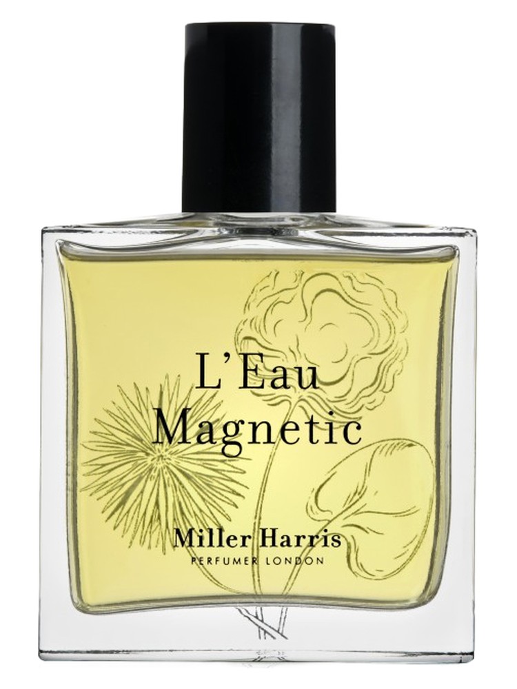 L'Eau Magnetic