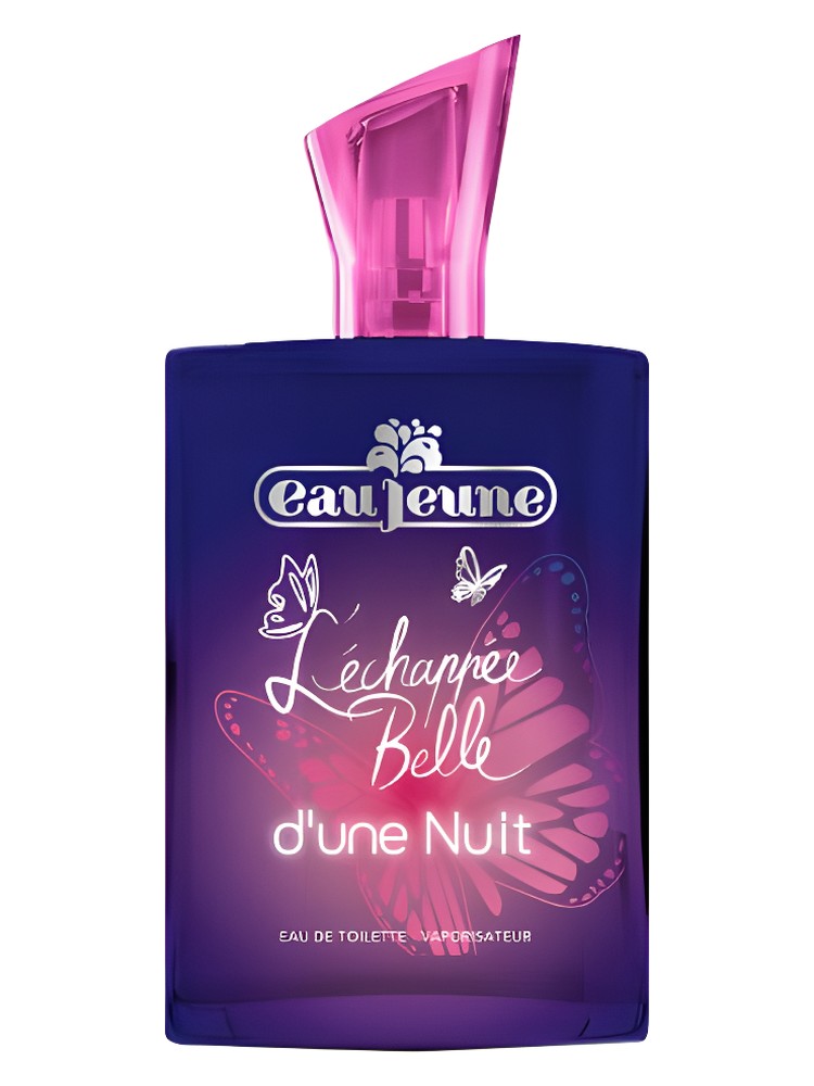 L'Échappée Belle d'une Nuit