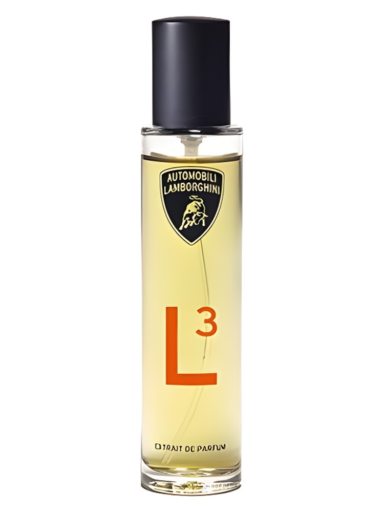 L3
