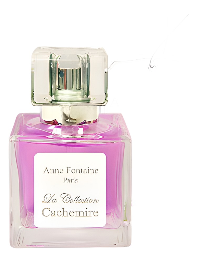 La Collection Cachemire