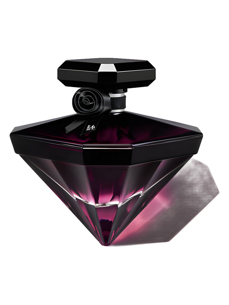 La Nuit Trésor Fleur de Nuit