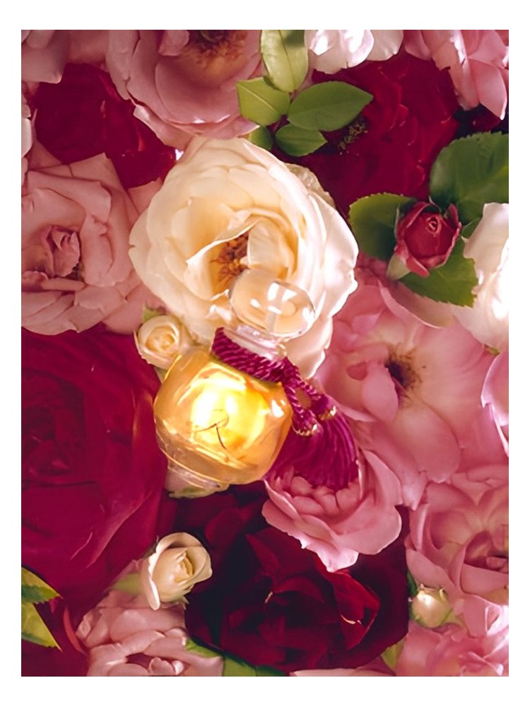 La Rose Legere