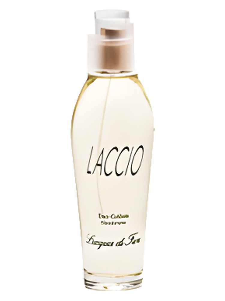 Laccio
