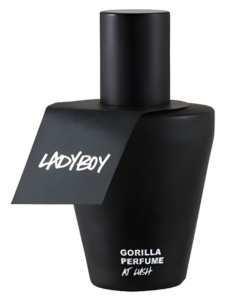 Ladyboy