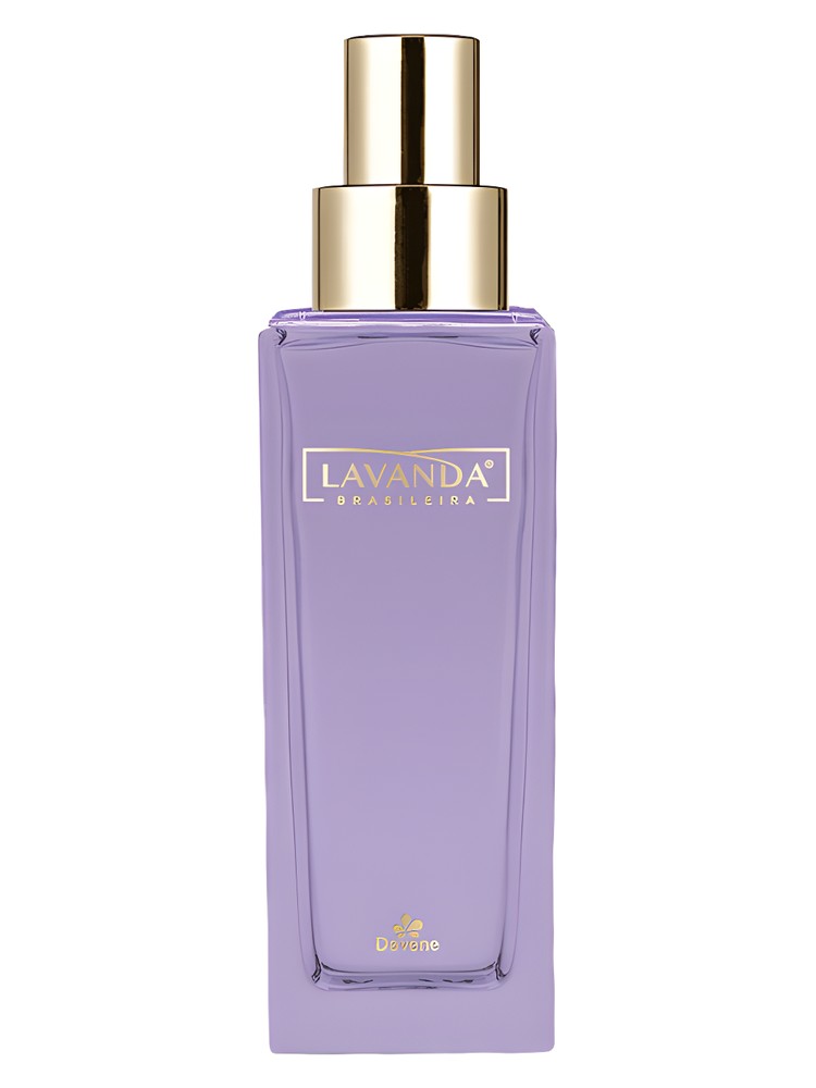 Lavanda Brasileira