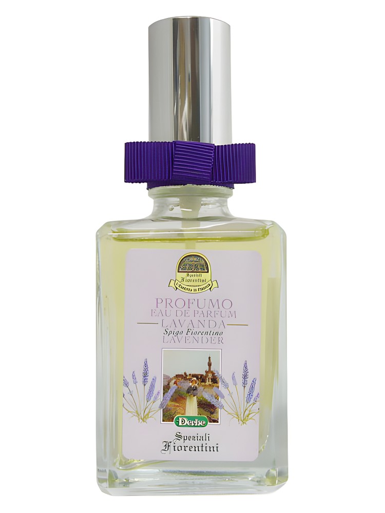 Lavanda