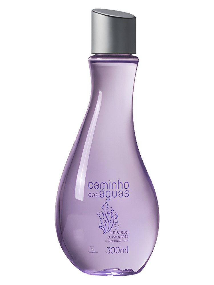 Lavanda Envolvente