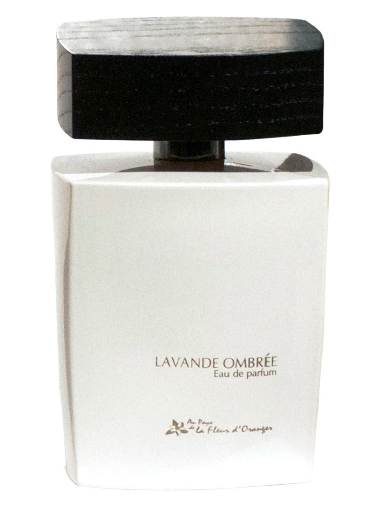 Lavande Ombree