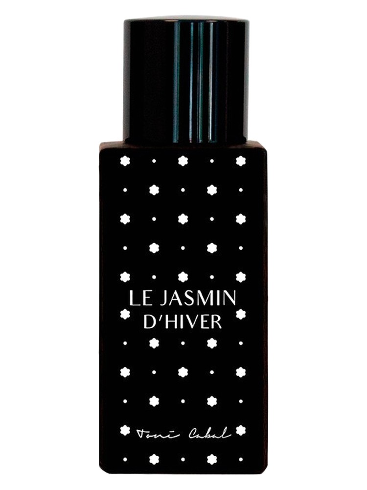 LE JASMIN D'HIVERN