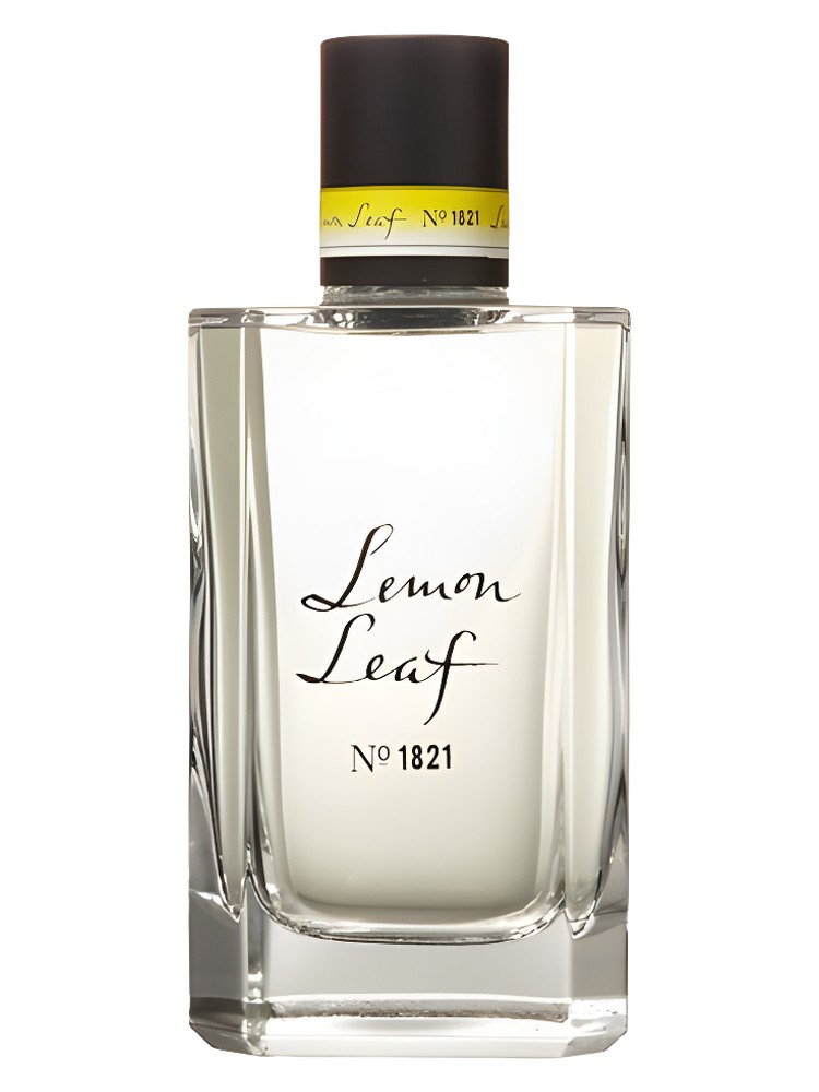 Lemon Leaf No.1821