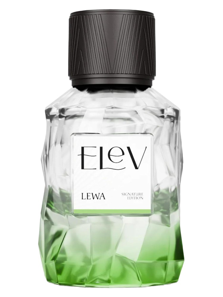 Lewa