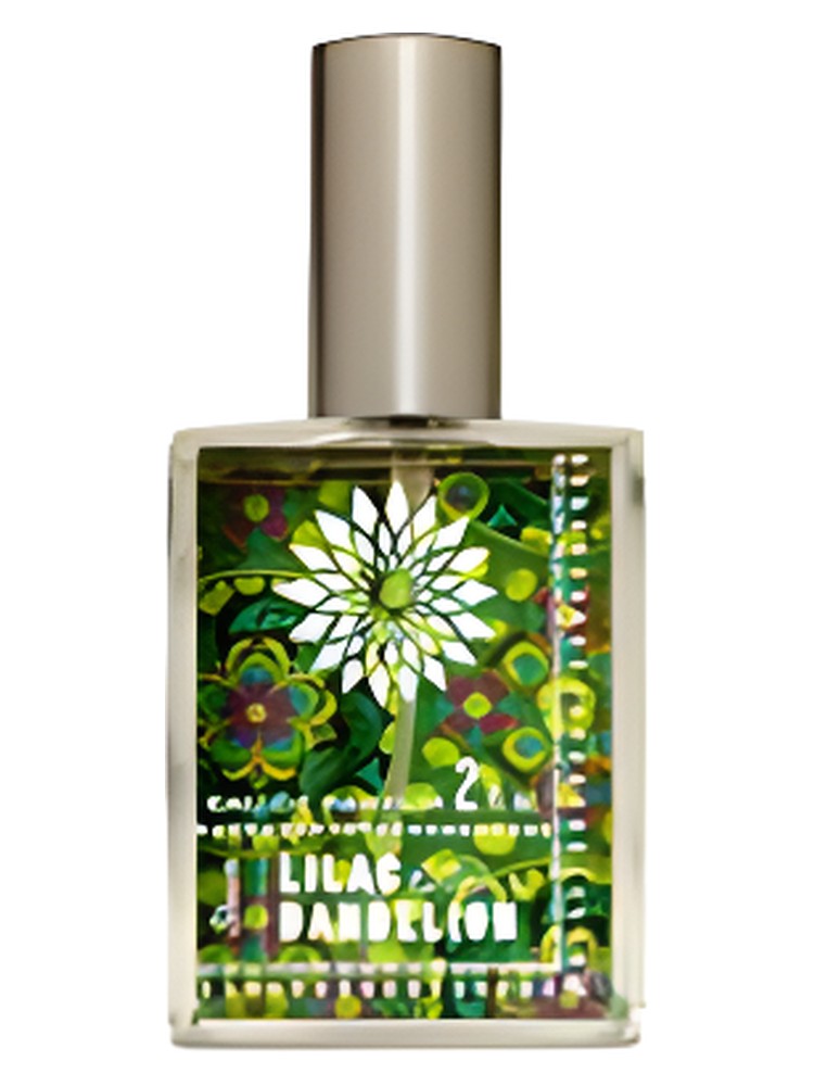 Lilac Dandelion