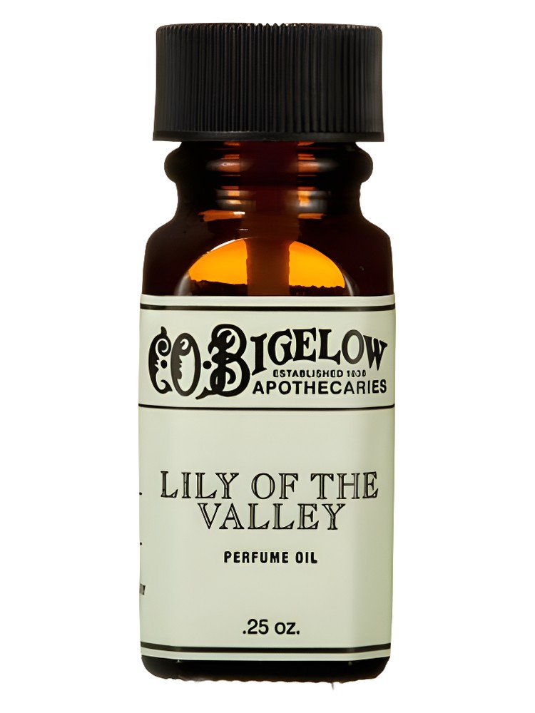 Lily Of The Valley
