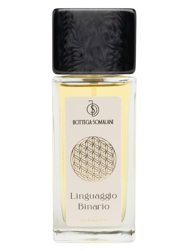 Linguaggio Binario