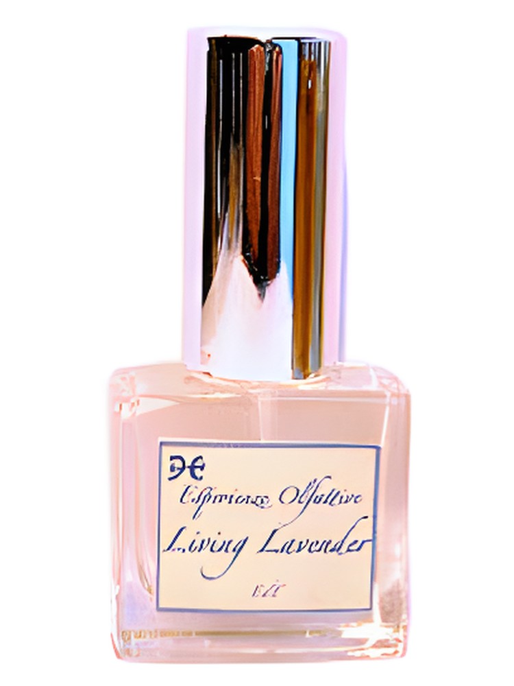 Living Lavender