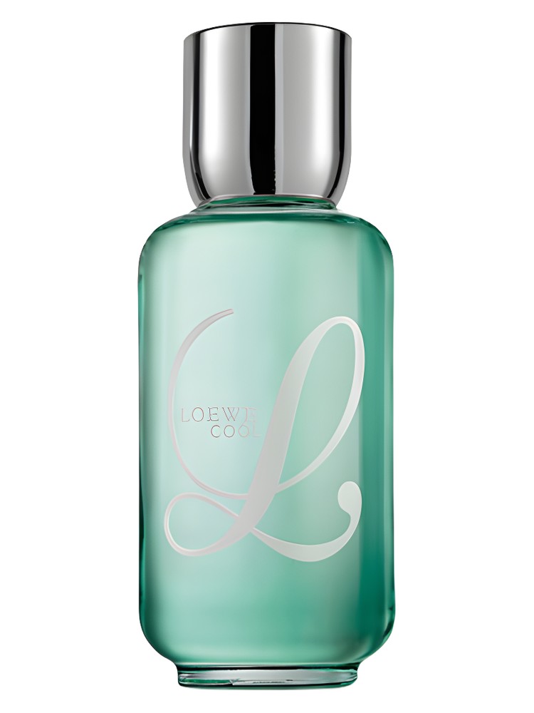 Loewe L Cool