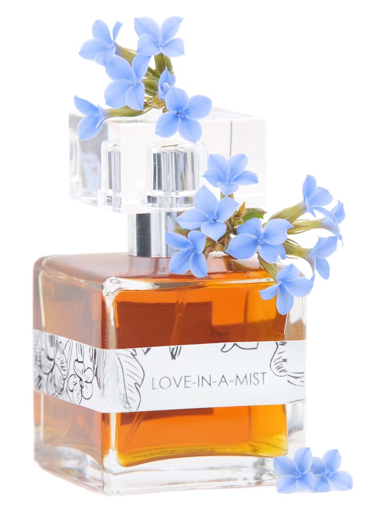 Love-In-A-Mist
