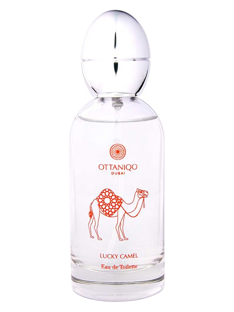 Lucky Camel