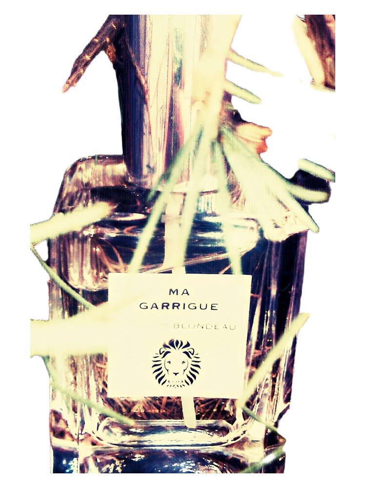 Ma Guarrigue