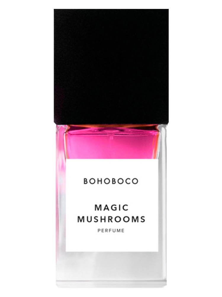 Magic Mushrooms