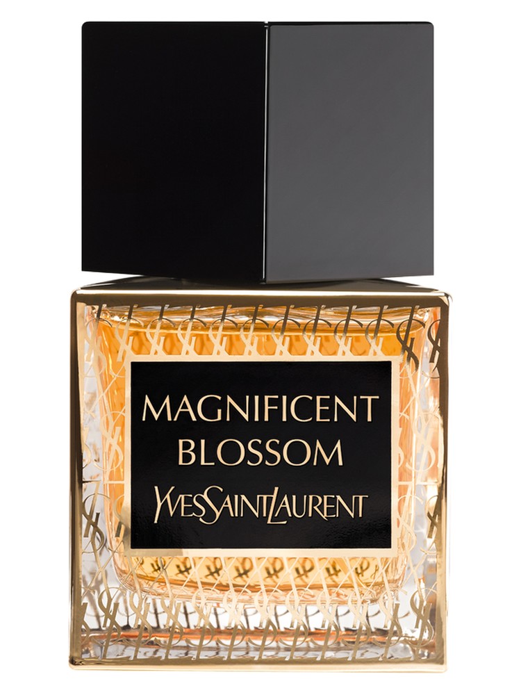 Magnificent Blossom