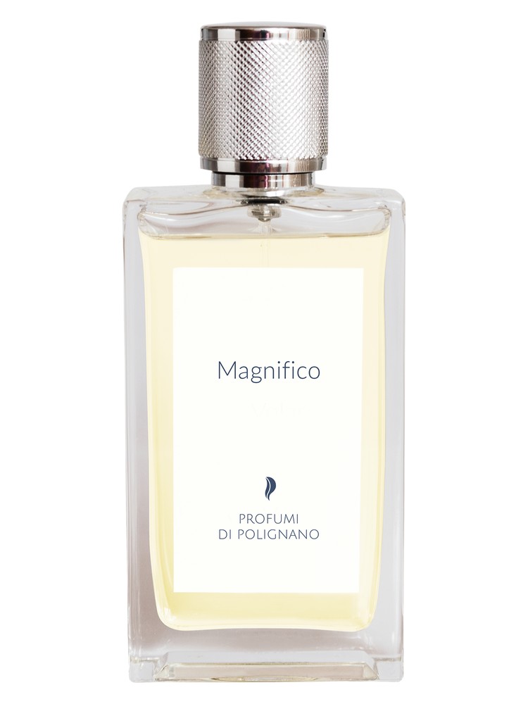 Magnifico