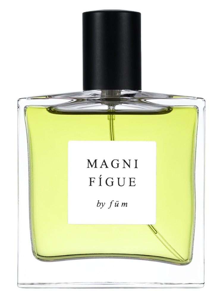 Magnifígue