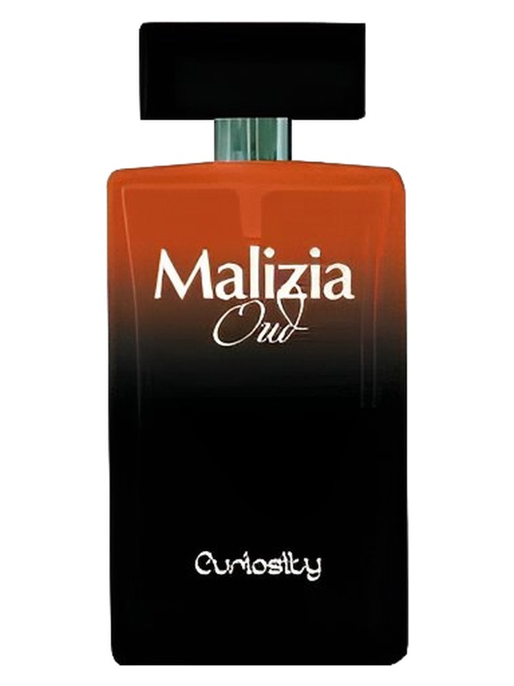 Malizia Oud Curiosity