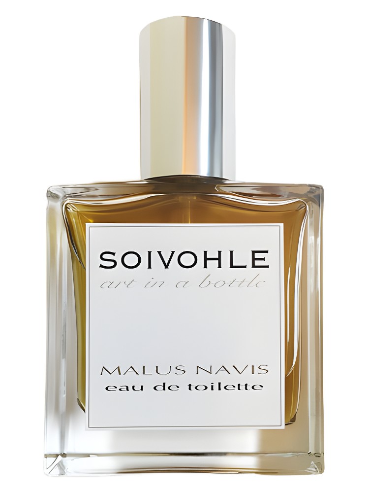 Malus Navis