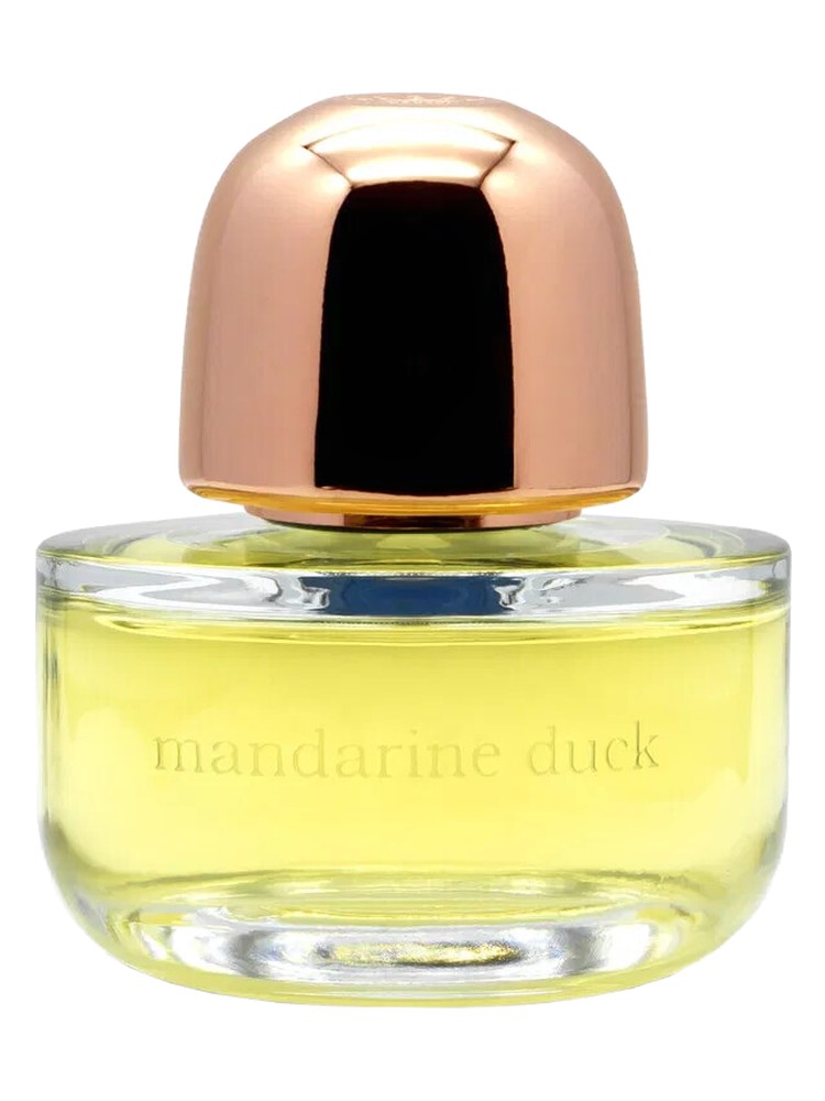 Mandarin Duck