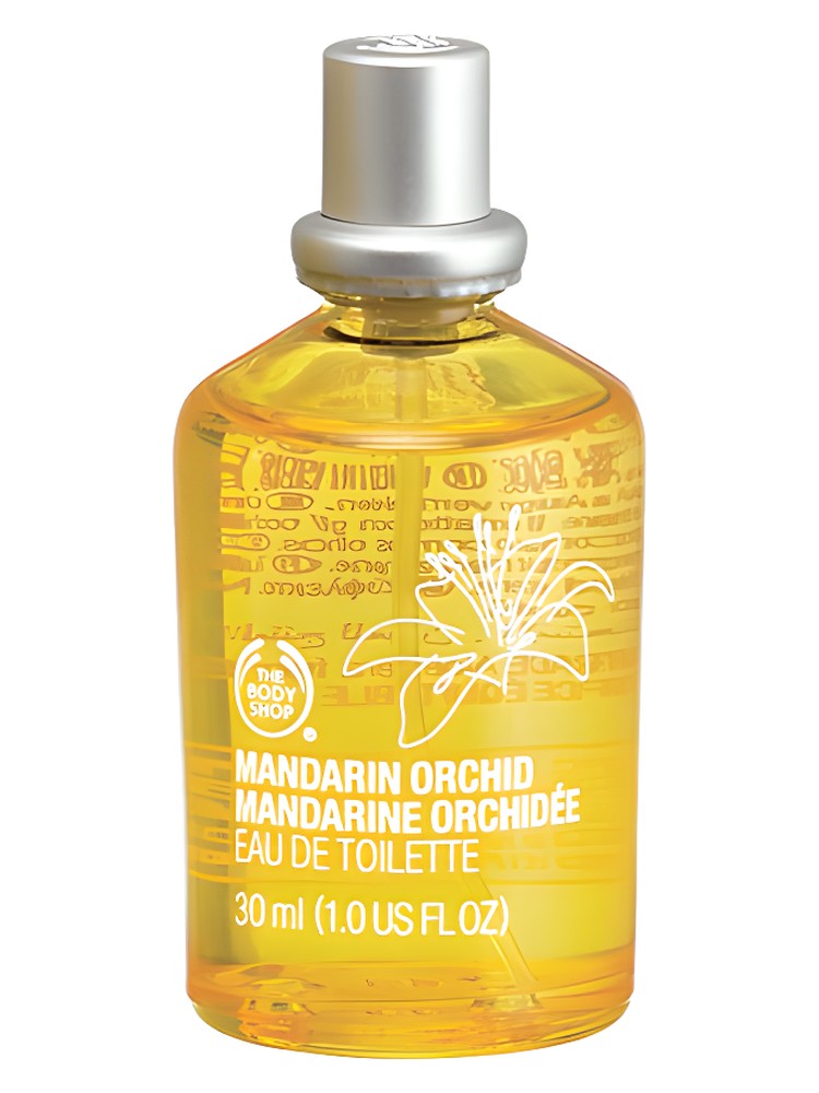 Mandarin Orchid