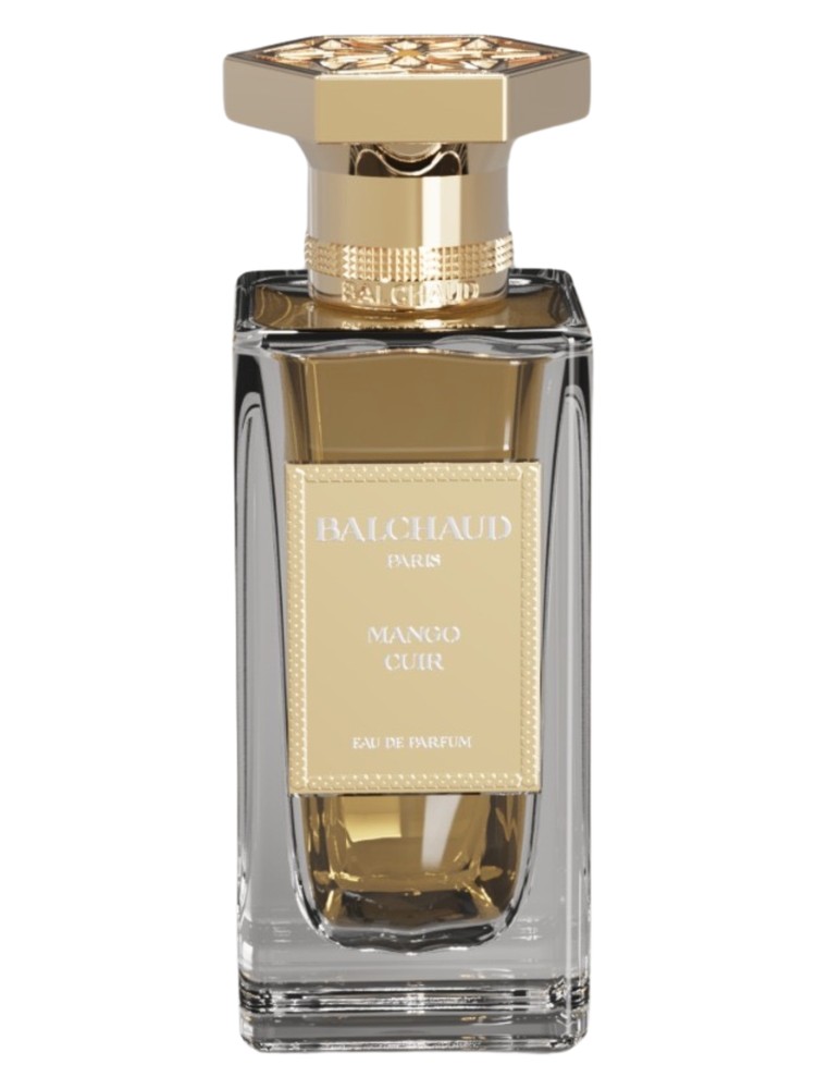 Mango Cuir