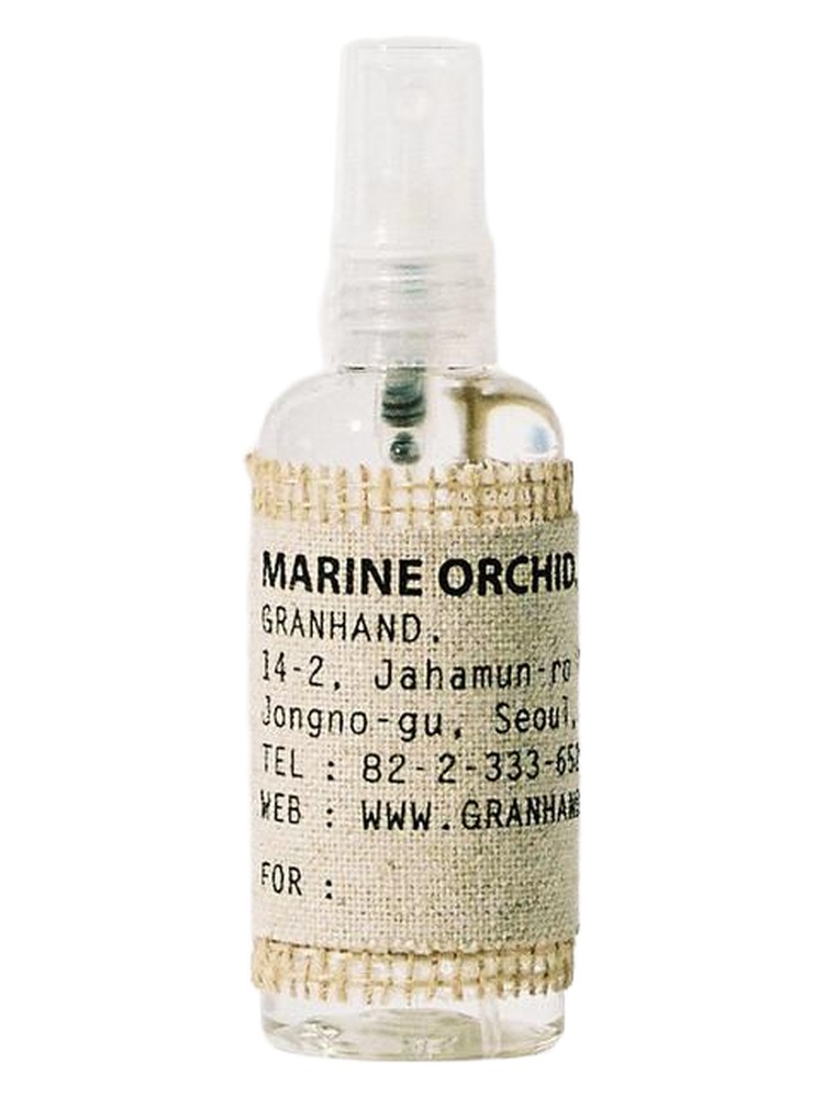 Marine Orchid